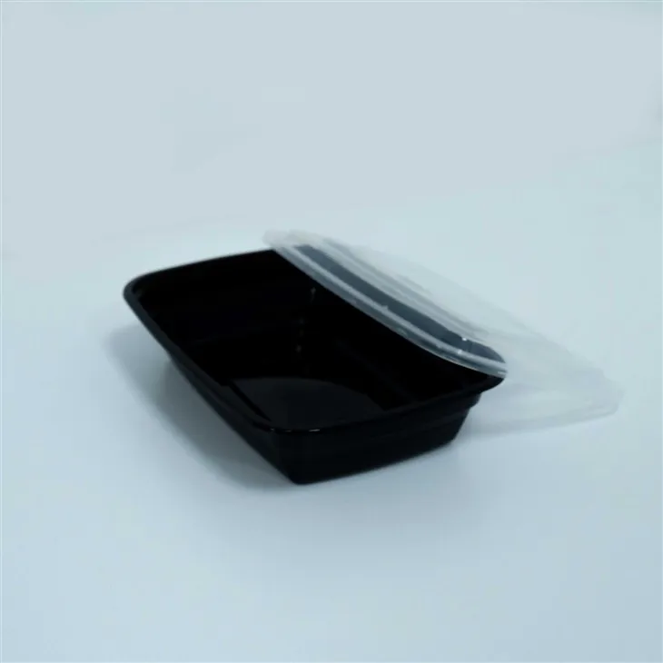 Elegant Disposable Lunch Boxes - Elevate Your Takeaway Presentation (1)