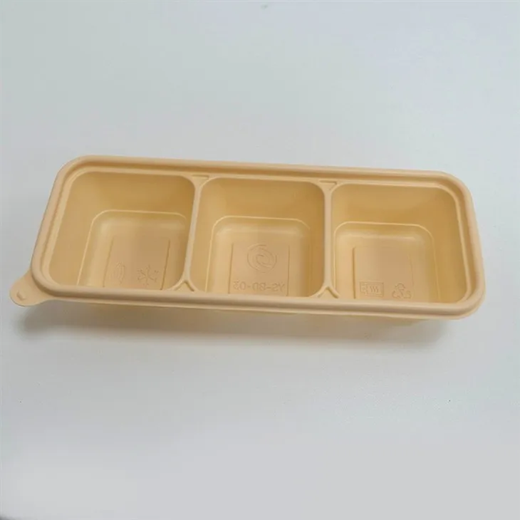 Green Biodegradable Lunch Boxes - For a Sustainable Future (3)